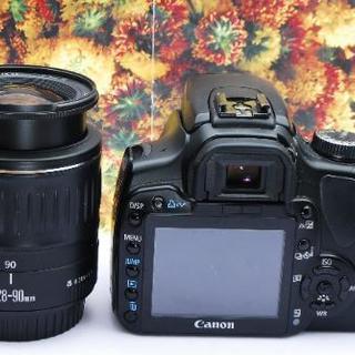 ✨初心者向け✨Canon Kiss digital X✨シングルレンズ✨ 全国対応】 初心者向けレンズキット キャノン kiss digital X