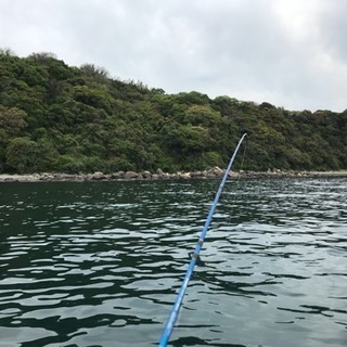 舟釣りキス大募集