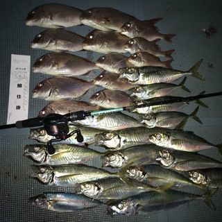 船釣りメンバー募集 - 和歌山市