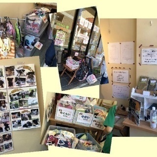2020年3月8日　犬用品のミニフリマ&犬の里親会です。　桜新町...