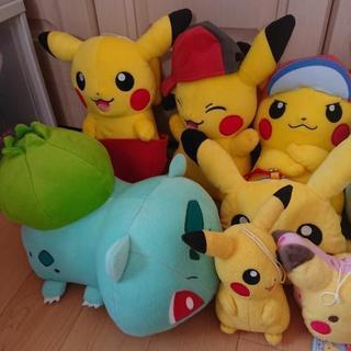 ピカチュウ ぬいぐるみ 10個プラスもう一個の画像
