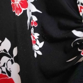 シャツ（シネカノン）フリーサイズの画像