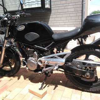 スズキ　グース250（350仕様）
