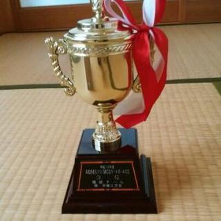 トロフィー　縦23センチの画像