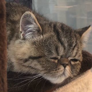 簿記教えます
