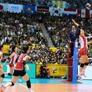 🌟男女混合バレー🌟🏐COLOR🏐新メンバー募集🙌 - 大阪市