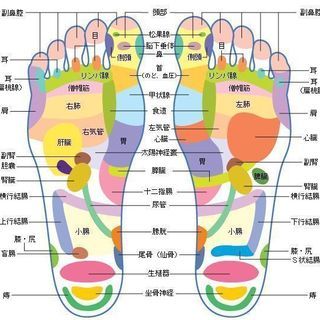 ♠なぜ足を揉むだけで、美容、痩身、健康に繋がるのか?♠　まったくの初心者からプロ・リフレクソロジストになれる♪　無料体験講座も開講中。の画像