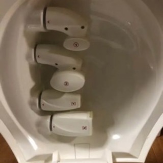 家庭用エンダモロジー