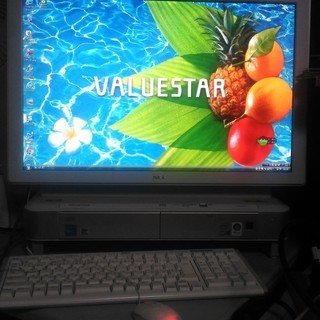 地デジ視聴。録画可能！液晶モニタ一体型PC　NEC VW770/M