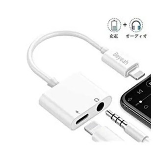 iPhone 変換ケーブル