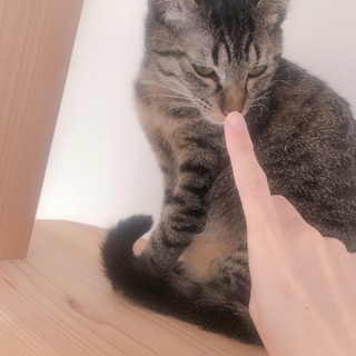 広ーいお庭で自然に囲まれすくすく育ったやまちゃん