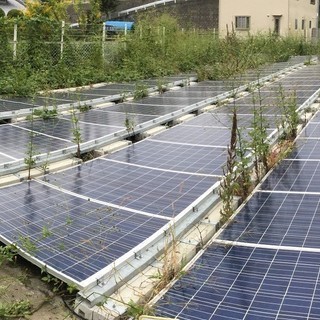 【継続募集】太陽光発電所の草刈（レスポンスの早く責任感のある方　...