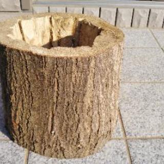 癒やしの切り株。ログプランター（丸太植木鉢）。縦型。アウトレット。茨城県潮来市。の画像