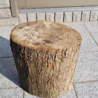 癒やしの切り株。ログプランター（丸太植木鉢）。縦型。アウトレット。茨城県潮来市。の画像