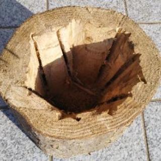 癒やしの切り株。ログプランター（丸太植木鉢）。縦型。アウトレット。茨城県潮来市。の画像
