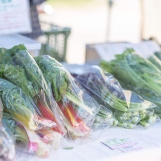 6月8日(土)くさつ Farmers’ Market @de愛ひろば