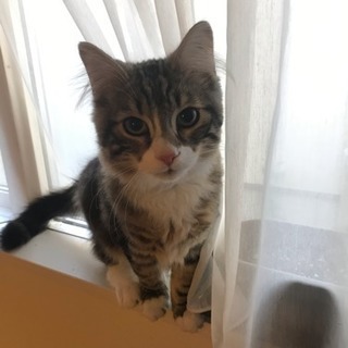 猫ちゃん大好きグループ♪
