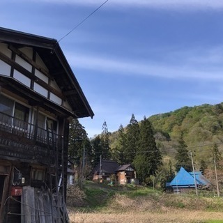 初心者大家さんはいませんか？