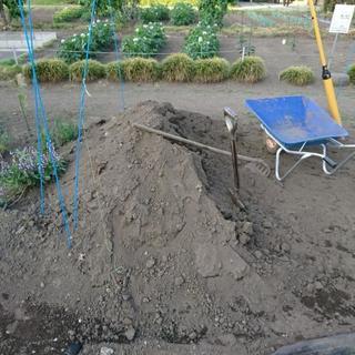 黒土 好評につき引取者終了m(_ _)mの画像