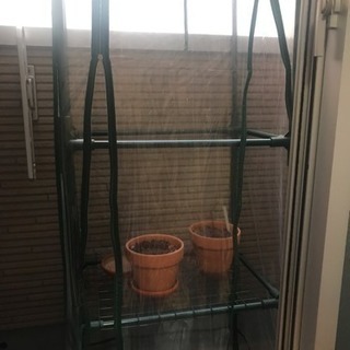 ベランダ菜園、ガーデニングに✨温室
