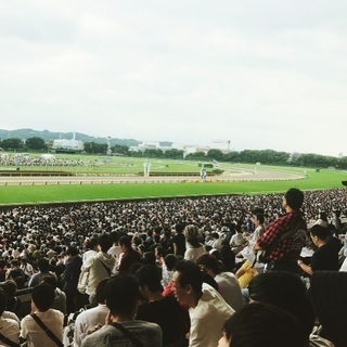 競馬の祭典、日本ダービーを観戦！