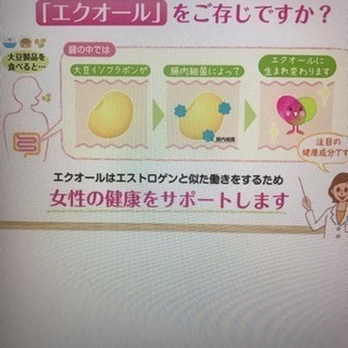 エクエル120粒 お好みの個数で♡の画像