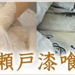 DIYも可能な瀬戸漆喰（既調合の練り砂漆喰）天然素材＝樹脂ゼロで...