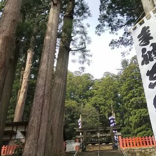 お互いにリスペクトできる、思いやりのある男女仲間募集…