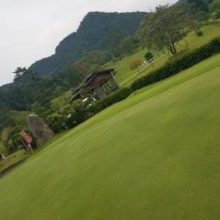 ゴルフ友達✨募集‼️ - 友達