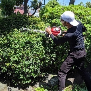 木の伐採、抜根、剪定はお任せください！ - 町田市