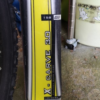 カービングスキーその2の画像