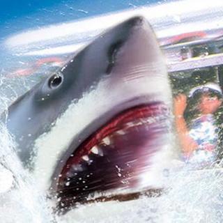 USJ ジョーズのラウンジ 同行者様３名まで募集