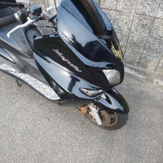 マジェスティ125の画像