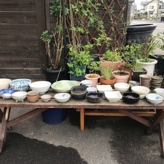 ミニ盆栽の鉢、盆栽の鉢、植木鉢、