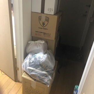 引っ越しの為レディース春夏服お譲り致します。の画像