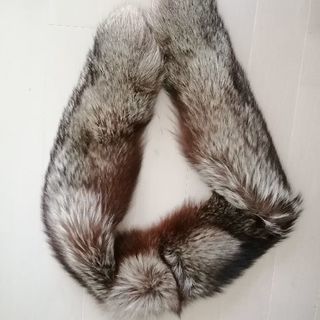 シルバーフォックス🦊本物の、はずです。の画像