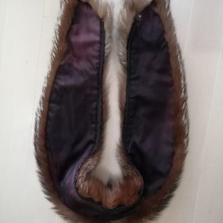 シルバーフォックス🦊本物の、はずです。の画像