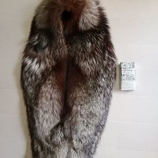 シルバーフォックス🦊本物の、はずです。の画像