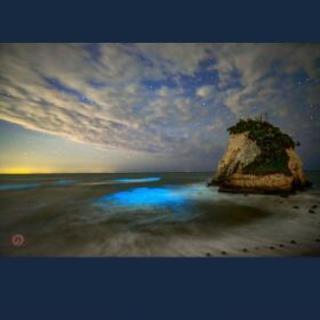 キャンプ⛺夜光虫探し🌊海水魚観察🐠スキンダイブ 素潜り シュノー...