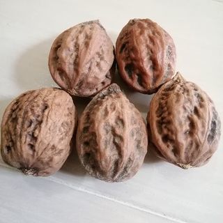 胡桃です。