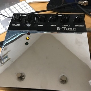 Bad Cat 2-tone