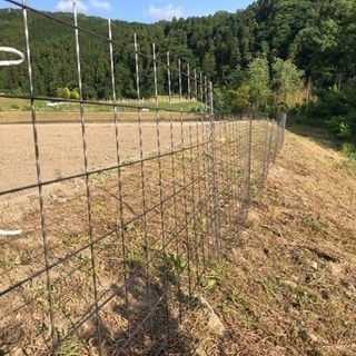 除草作業なら、なんでもご相談下さい。