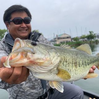 バスボートでバス釣り　in琵琶湖