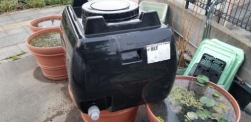 ローリータンク　美品　200L 水槽　金魚