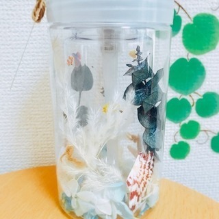 ⭐️海ボトル⭐️ディスペンサーの画像