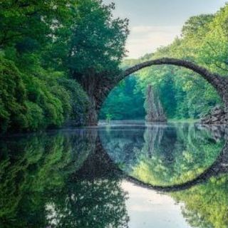 🌳自然、動植物にご興味のある方🌳～名護市～