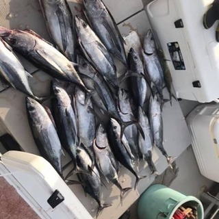 ジギング、中深海ジギングメンバー募集！