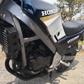 ホンダVTZ 250 の画像