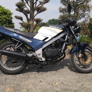 ホンダVTZ 250 の画像