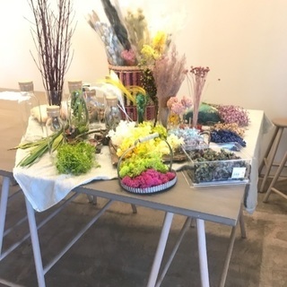 植物の帽子WORKSHOPの画像